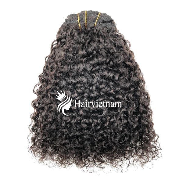 Curly Clip In Hair Extensions