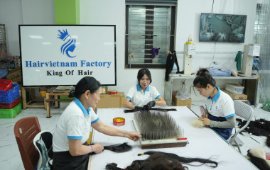 Vietnamese Hair Factory: What You Need to Know Before Buying