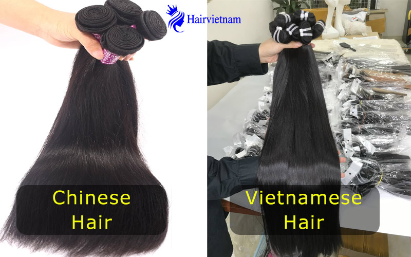 Vietnamese hair vs Chinese hair