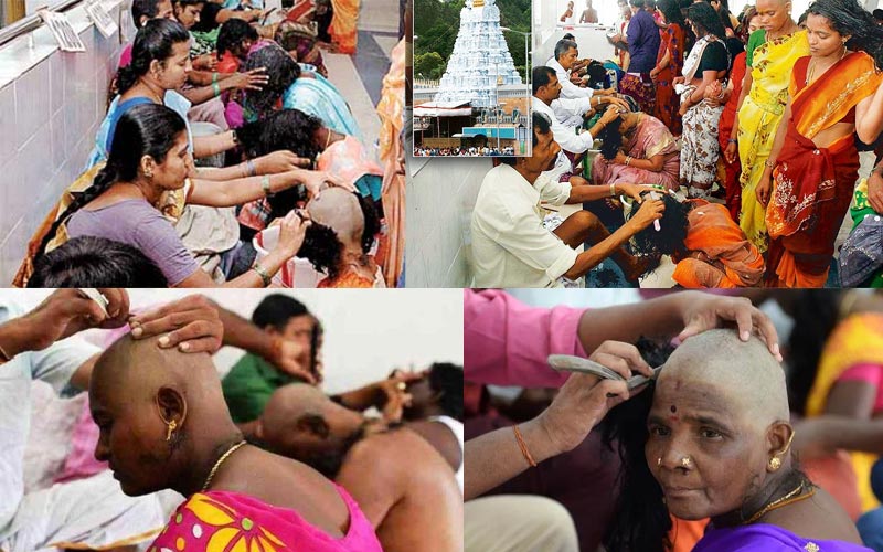 What is the source of hair for hair vendors in India?