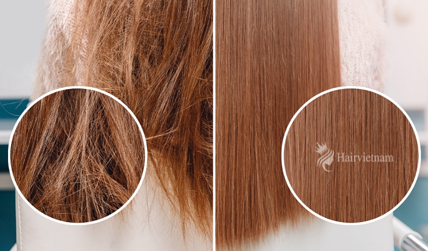 Essential Steps for Repairing Damaged Hair