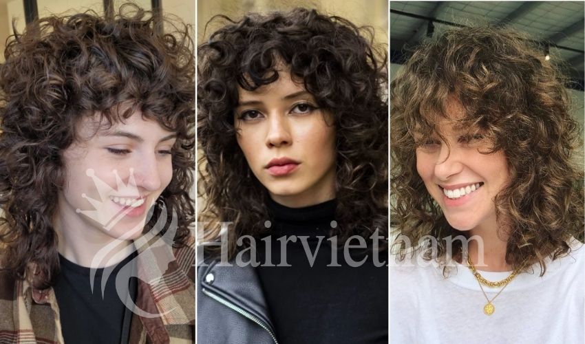 Short Wolf Cut Curly Hair