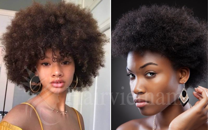 Chic Afro Hairstyle