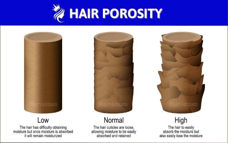 What is Low Porosity Hair