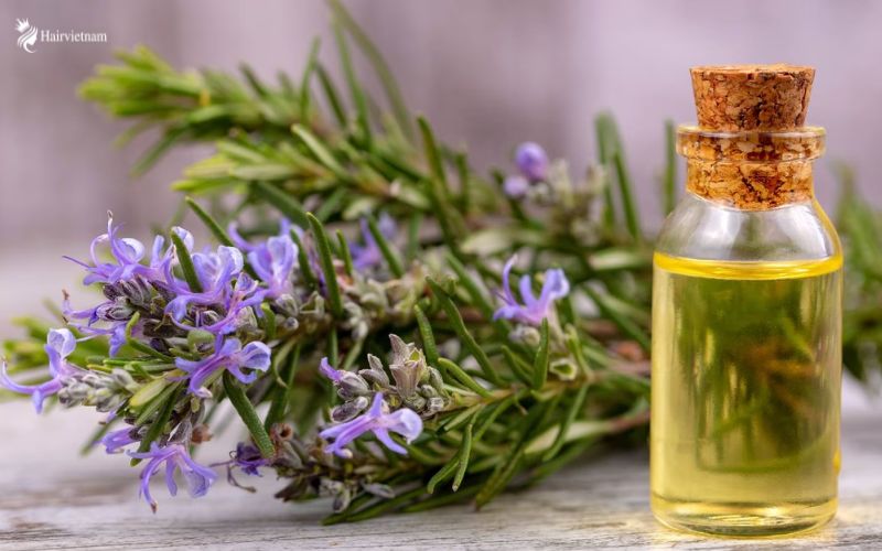 How to Use Rosemary Oil for Hair Growth