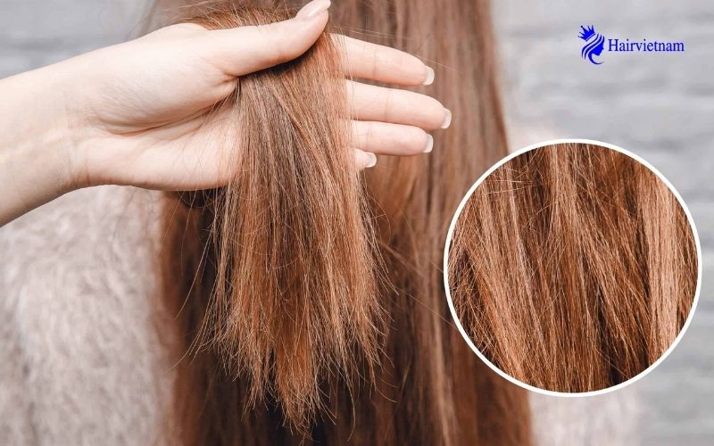 How Does Dead Hair Look Like