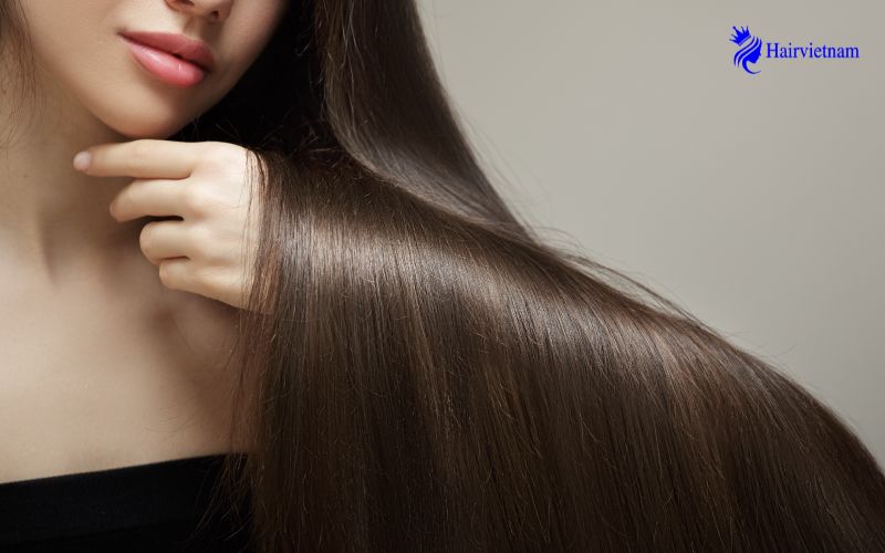 Understanding Hair Shine