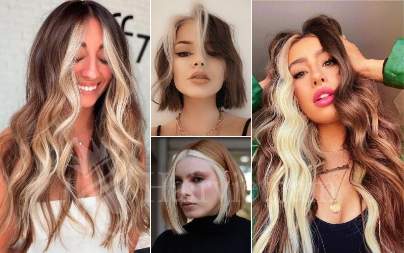 Brunnette Base with Blonde 